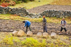 The only thing that can be cultivated at this altitude is the hardy potato - and believe it or not, even potatoes taste different between villages