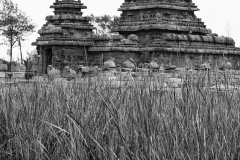 Mahabalipuram_Debesh-Sharma_047