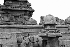 Mahabalipuram_Debesh-Sharma_053