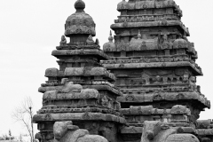 Mahabalipuram_Debesh-Sharma_071