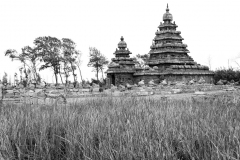 Mahabalipuram_Debesh-Sharma_072