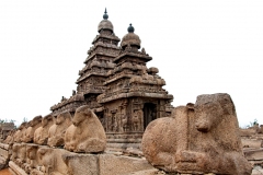 Mahabalipuram_Debesh-Sharma_055